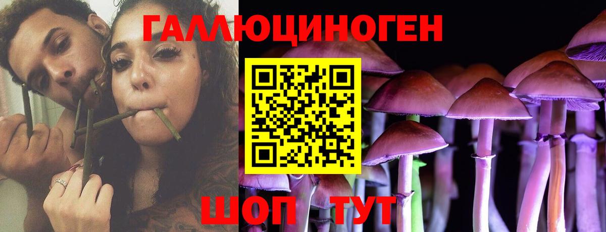 где можно купить   Вход с VPN  Коммунар  Псилоцибиновые грибы Magic Shrooms 